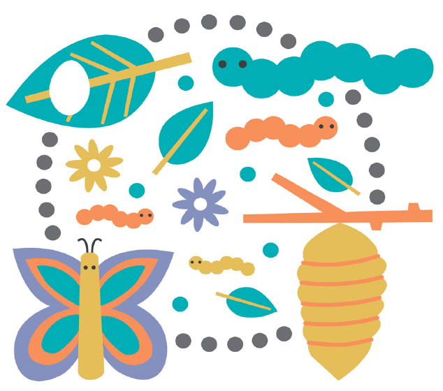 Illustration shows a cocoon, caterpillars and a butterfly and different shapes.